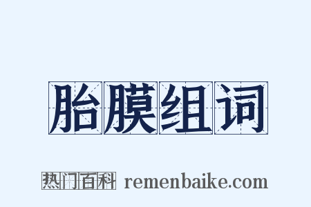 胎膜组词是什么意思的图片